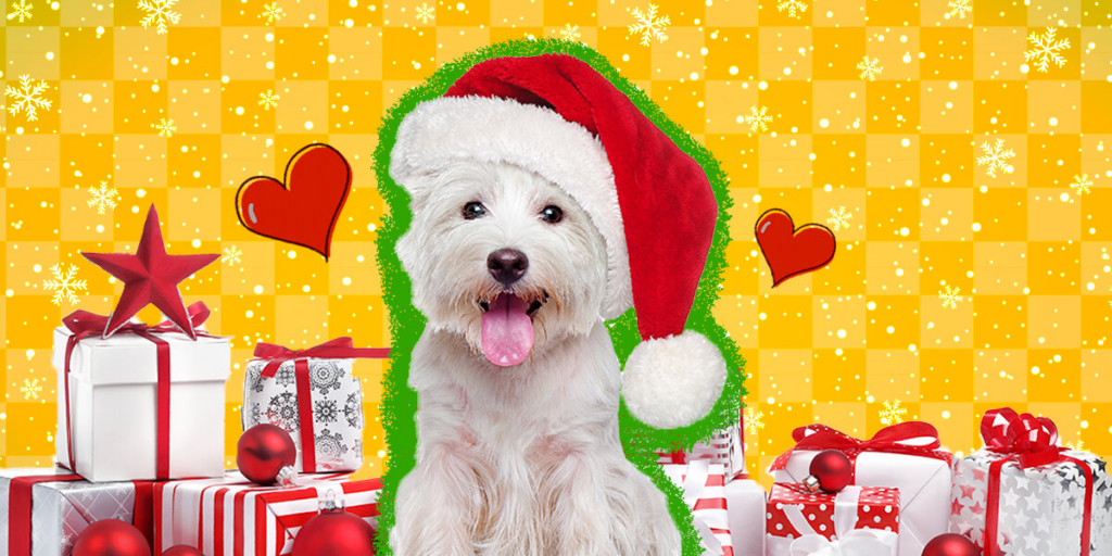 Cute Christmas Gifts Your Dog Will Absolutely Love - The Dodo 9 wp header logo 76