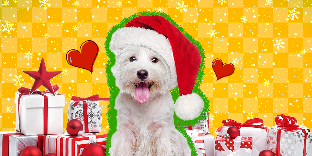 Home 35 wp header logo 76