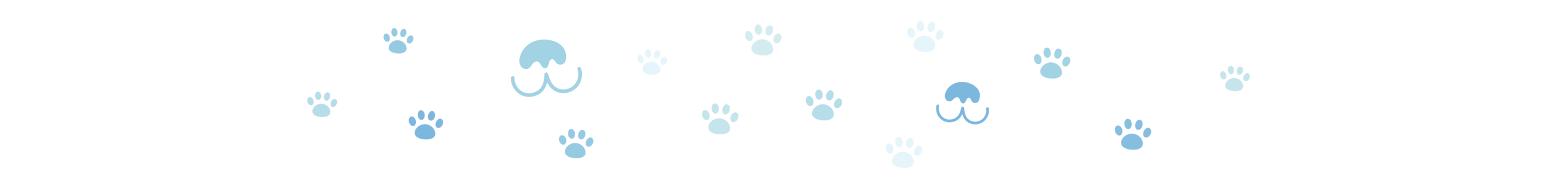 Pets for Patriots: Helping People Save Pets, and Pets Save People – Heroes of the Pet World 5 divider dog paws 4 oct 2024