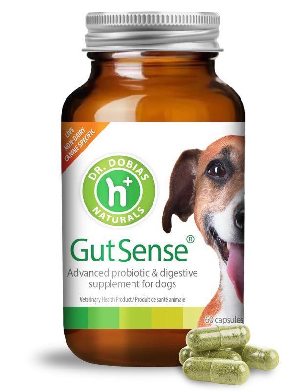 PD PET GUTSENSE BOTTLE 1B
