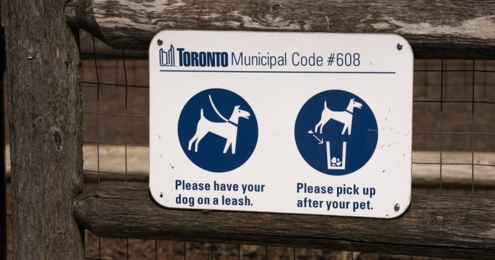 Toronto woman pleads guilty to negligence in dog attack that seriously injured child - Global News 7 wp header logo 127