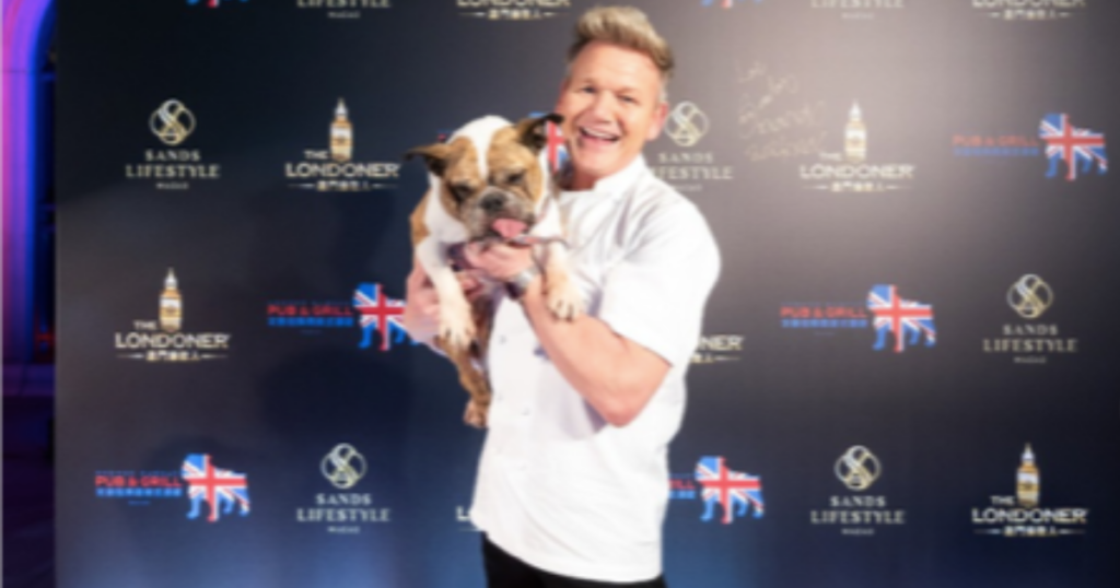 Gordon Ramsay’s Dog Tomato: Breed, Age, and More - DogTime 2 wp header logo 152