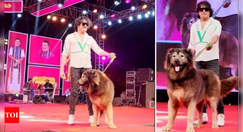 Indian man buys world's most expensive pet dog worth INR 50 crore: All about the rare 'wolfdog' - Times of India 5 wp header logo 189