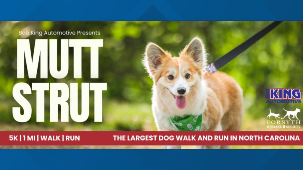 Forsyth Humane Society taking registrations for annual Mutt Strut - wfmynews2.com 52 wp header logo 195