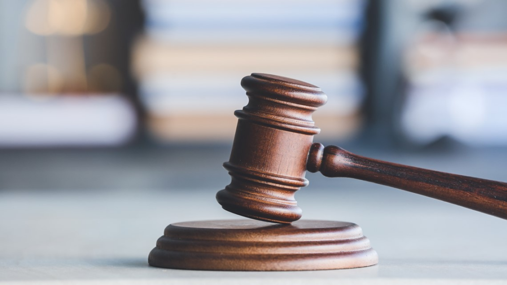 Employee pleads guilty to brutal attack on small dog at dog care - WUSA9 5 wp header logo 198