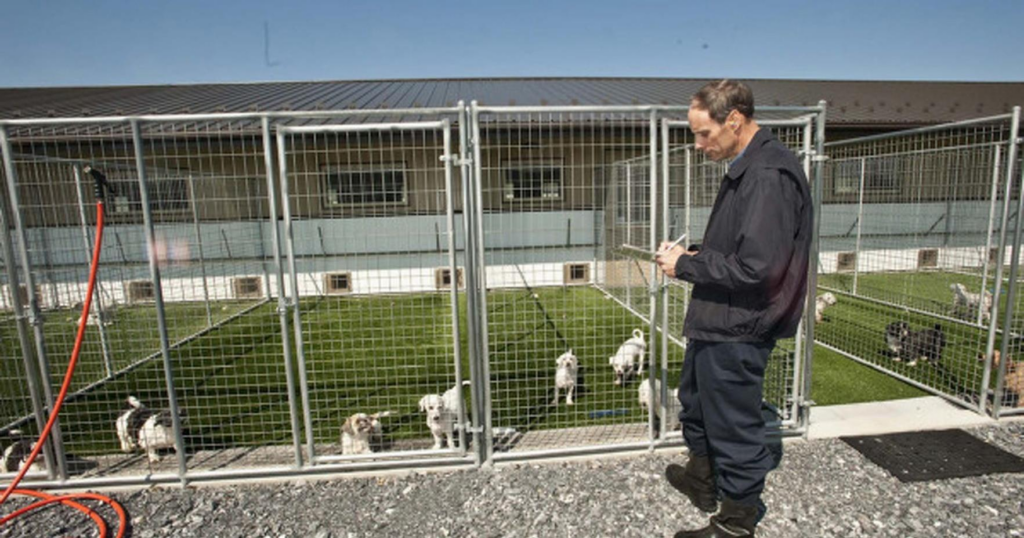 West Earl man pulls bid for dog-breeding kennel in face of vocal opposition - LancasterOnline 2 wp header logo 79