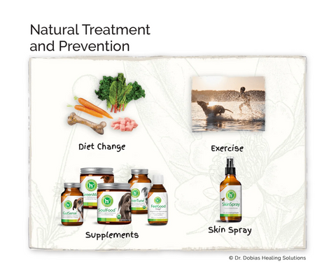 Natural canine skin yeast infection protocol