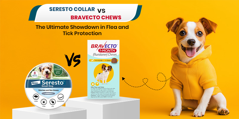 CanadaVetCare Blog Seresto vs Bravecto chews