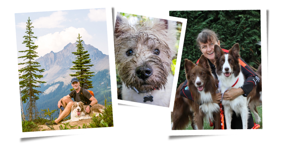 Screenshot 2025 07 11 091511