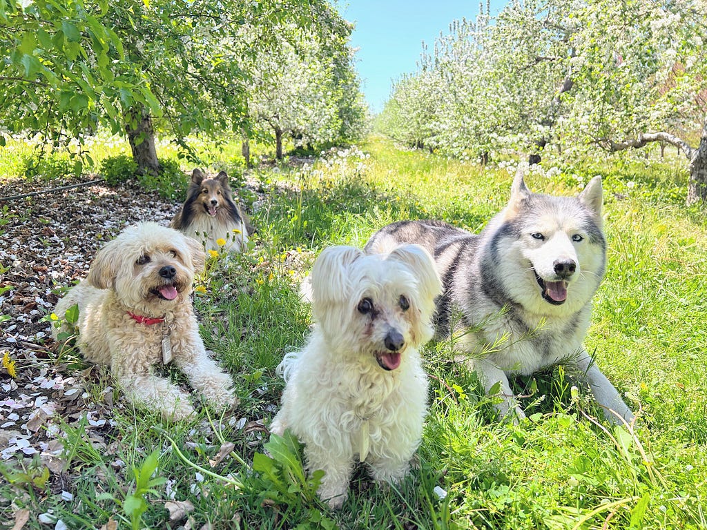 Fragment or Farm? 6 1GLRHCPkRiTAXLQyMVj70yA