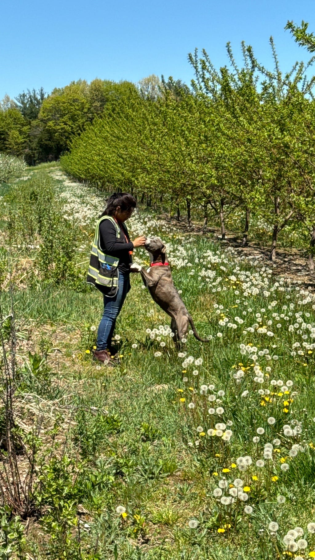 Fragment or Farm? 14 1HJX wocuWMi fdGJSOfX9A