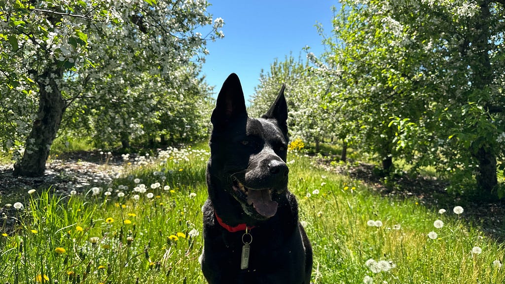 Fragment or Farm? 13 1MFZiqr7feMl FB7dDHheCw