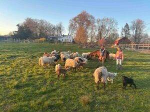 1 GgRSng52ID8tl7tfcCg4g