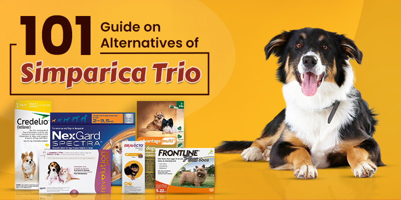 CanadaVetCare Blog Alternatives of Simparica Trio