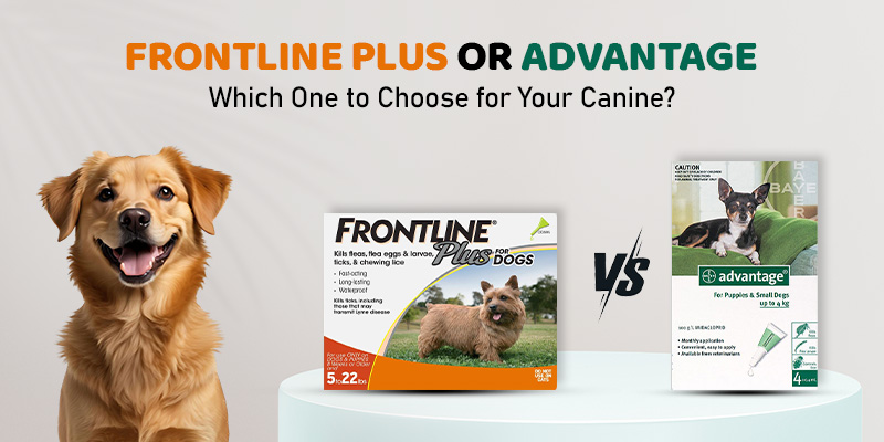 CanadaVetCare Blog Frontline Plus vs Advantage