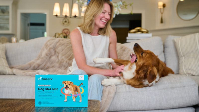 EmbarkVet Sponsored Post 3 800x450 1