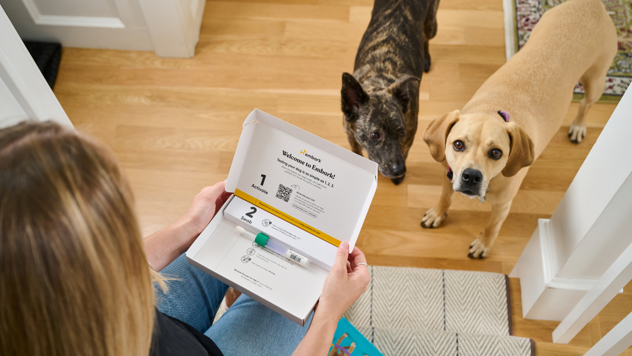 EmbarkVet Sponsored Post 5