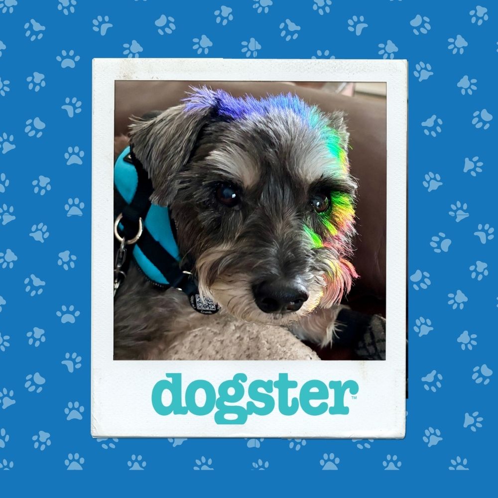 October 30 Winner (3)