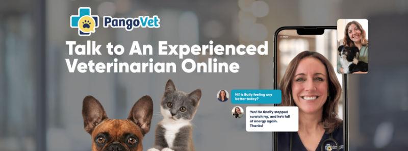 Hiring Veterinarians for our Telehealth Brand PangoVet (Remote Work) 3 PangoVet
