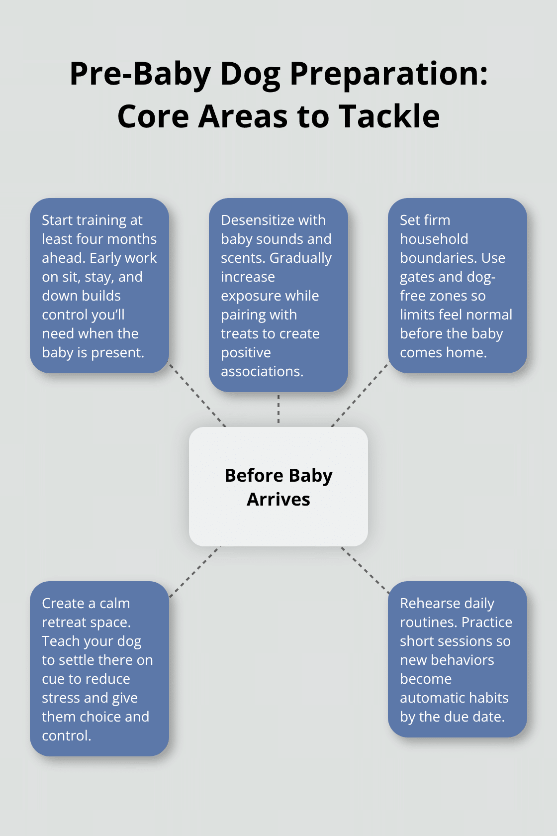 Infographic showing key preparation areas for introducing a newborn to a household dog in the United States.
