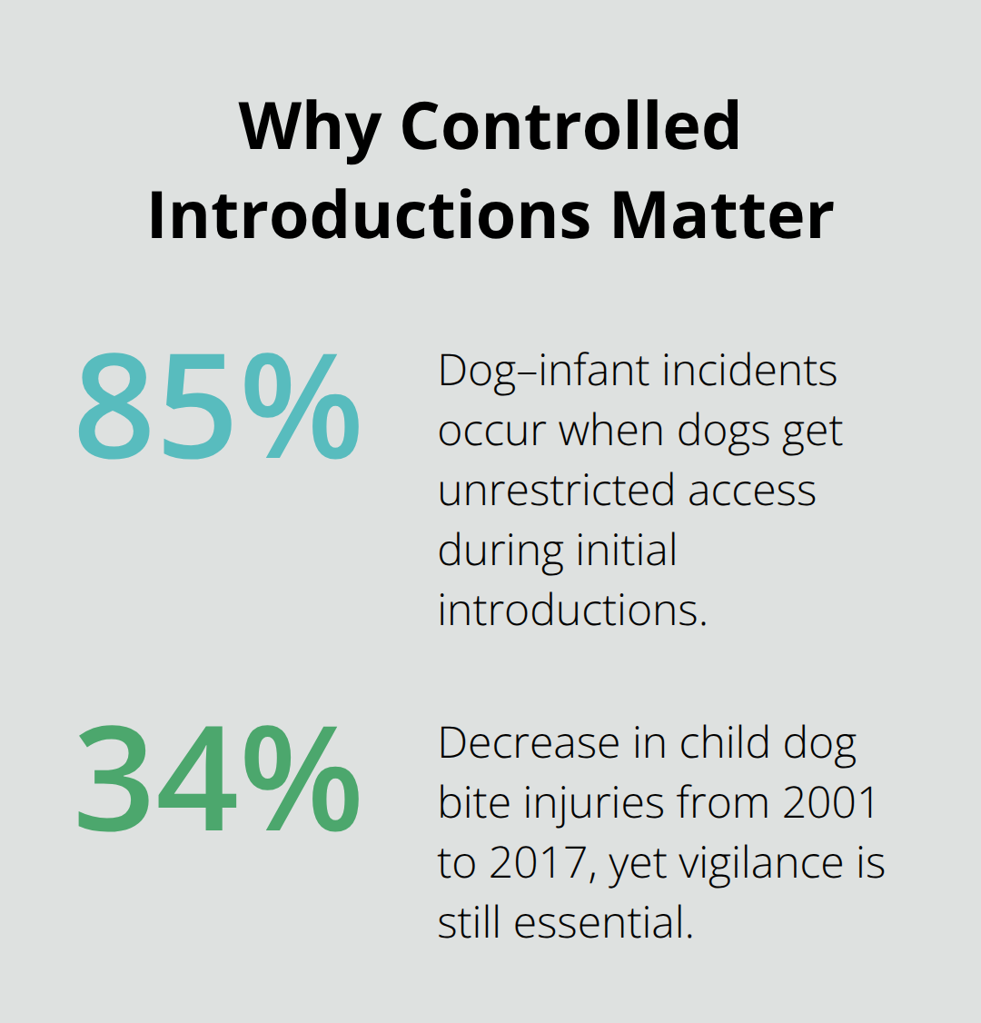 Percentage chart highlighting key safety statistics about dog and infant introductions in the U.S. - dog and newborn safety