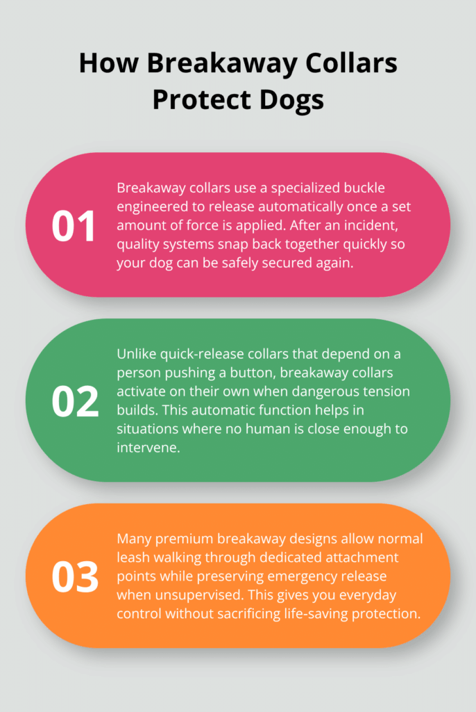 dog breakaway safety collar infographic 1 1761862012