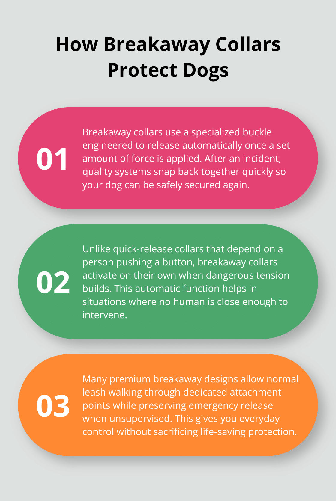 Three key facts explaining how dog breakaway safety collars work and differ from quick-release collars
