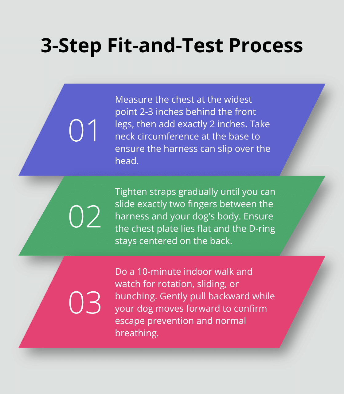 Three-step process to measure, adjust, and test a dog harness for safety - dog harness safety