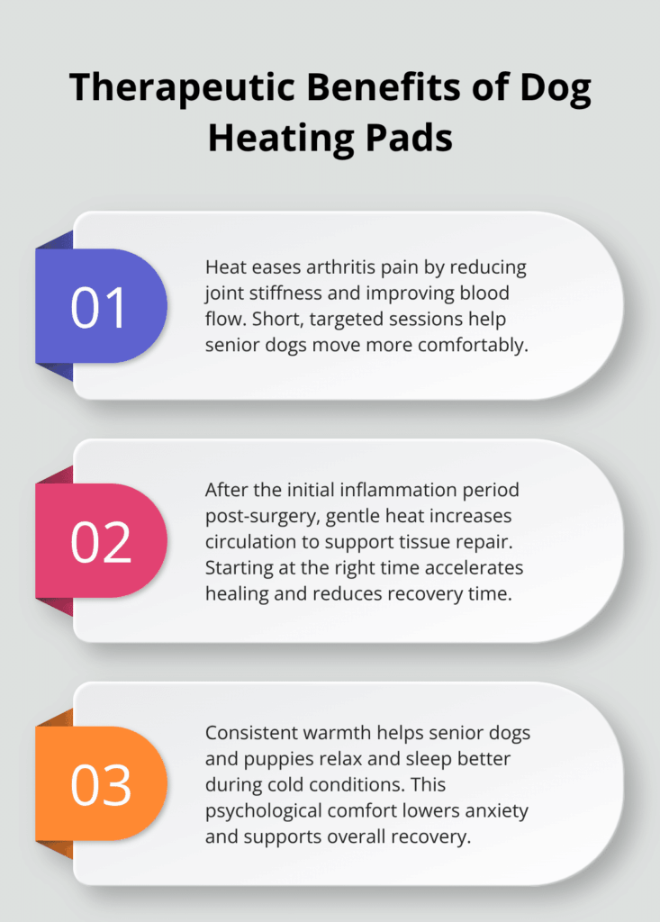 How to Use Dog Heating Pads Safely 17 dog heating pad safety infographic 1 1761430179