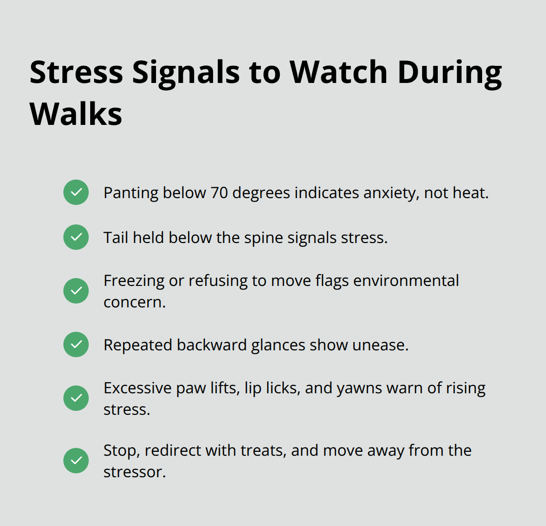 Checklist of canine stress signals owners often miss during walks. - dog leash safety