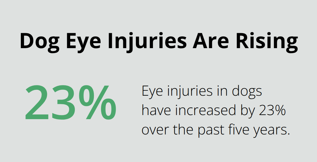 Chart highlighting the 23% rise in canine eye injuries over five years in the U.S.