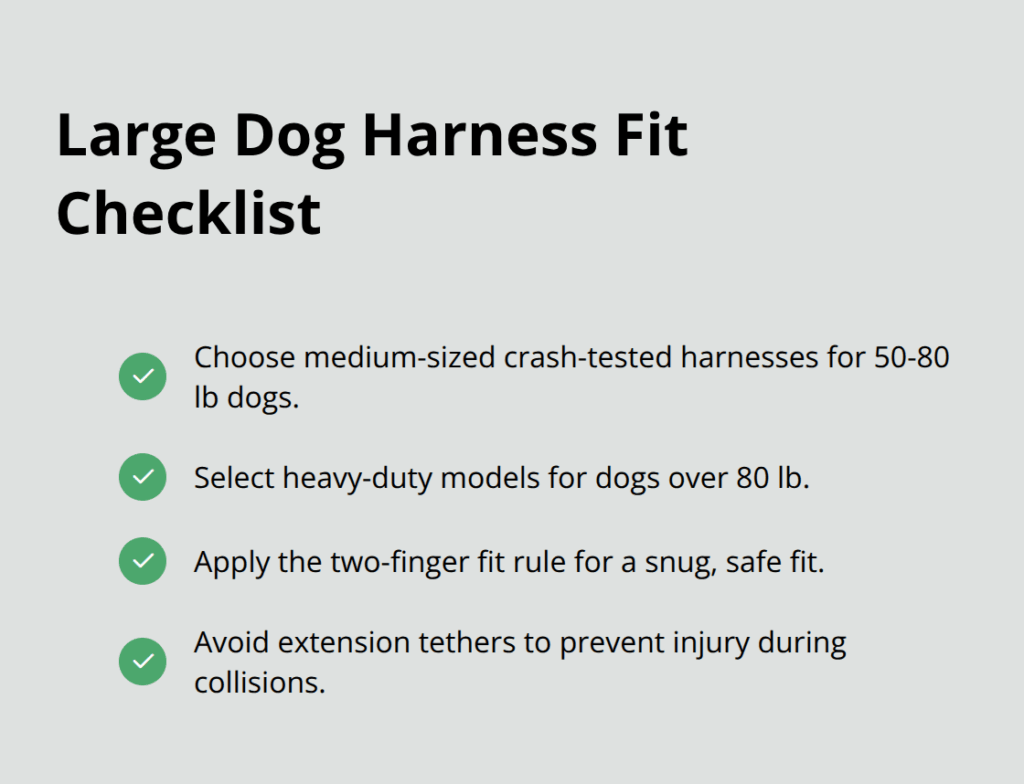 large dog car safety infographic 1 1761948569