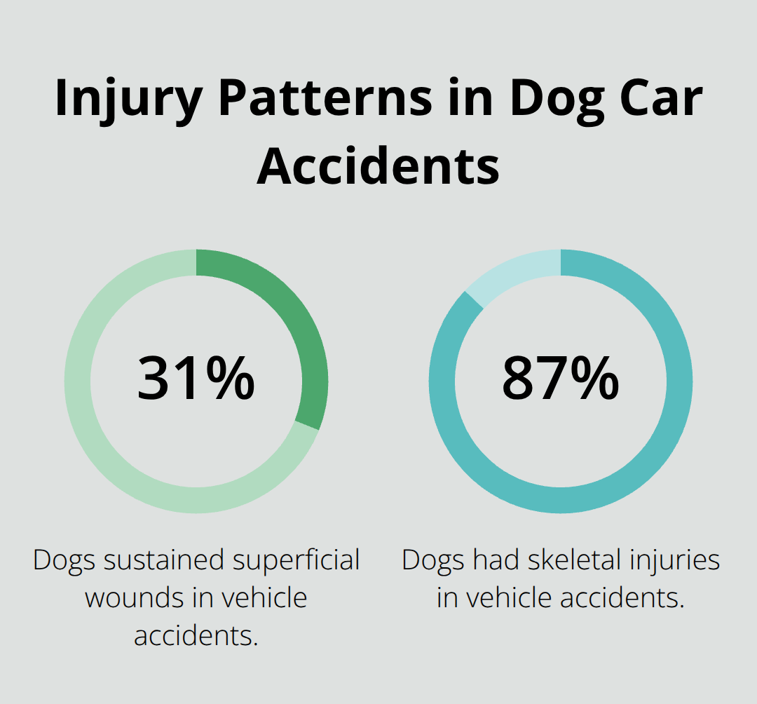 Percentages of injury types reported for dogs in vehicle accidents - large dog car safety