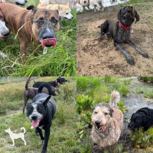 1dq5h2UEjwxXnb5hccEXLNg