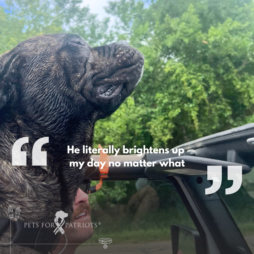 Pets for Patriots: Helping People Save Pets, and Pets Save People – Heroes of the Pet World 8 Brent and Toby - quote