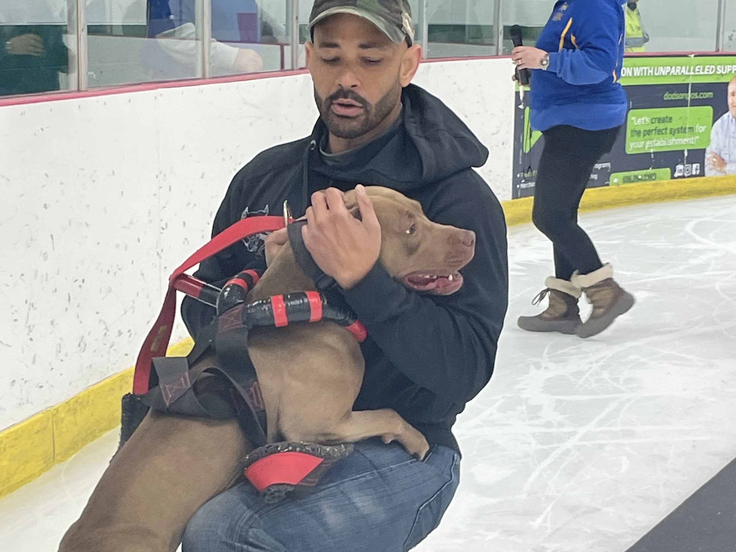 Dog Weight-Pulling – Enrichment or Exploitation 8