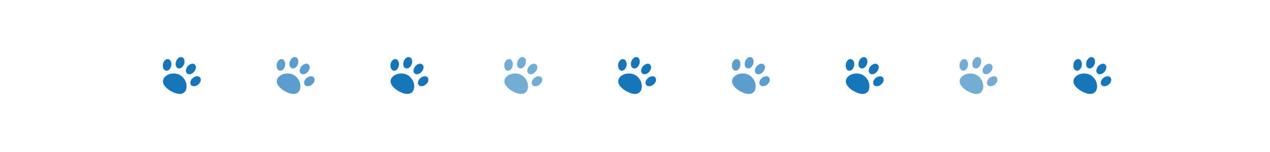 Before You Add Olive Oil to Your Dog’s Bowl – Read This! 4 divider dog paws 2 oct 2024