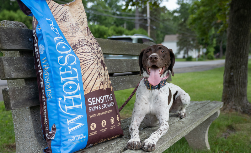 Earthborn SP 1 800x490 1