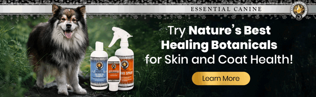 Equus Magnificus AW Blog Digital Article SEO Program 01 Inline Banner REV