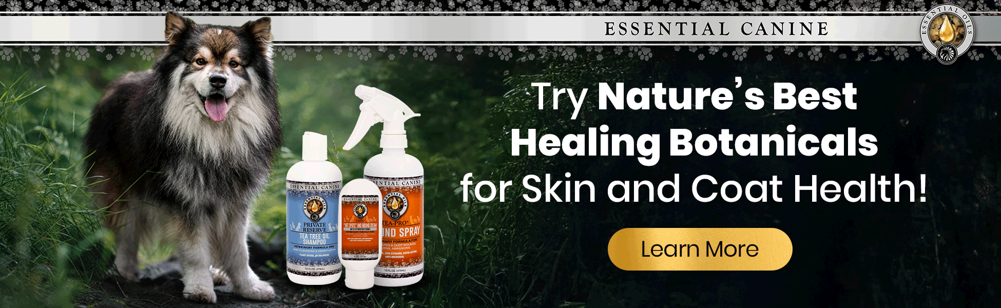 Equus Magnificus AW Blog Digital Article SEO Program 01 Inline Banner REV