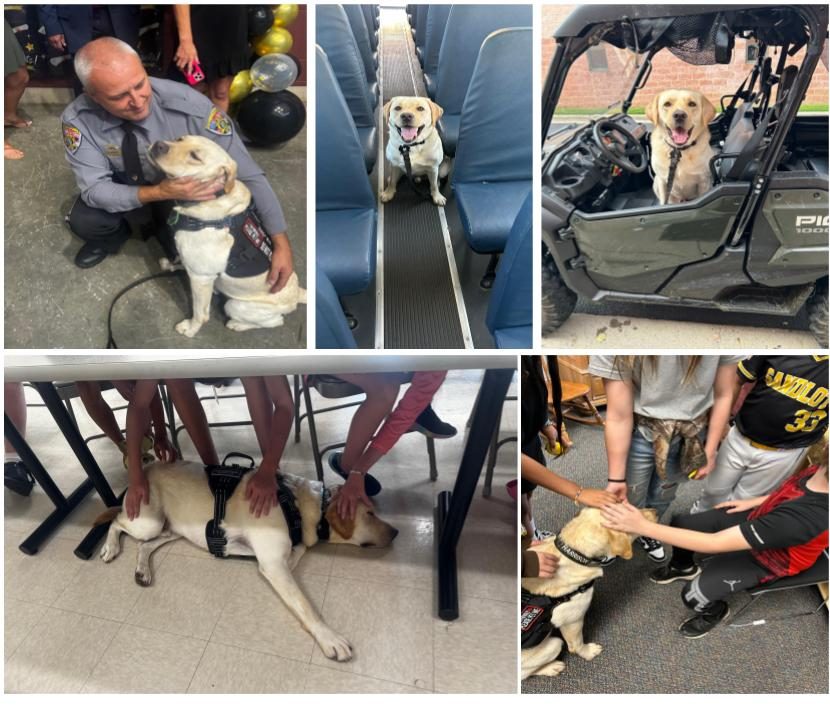 Harrison COURTESY: Doug Dupell