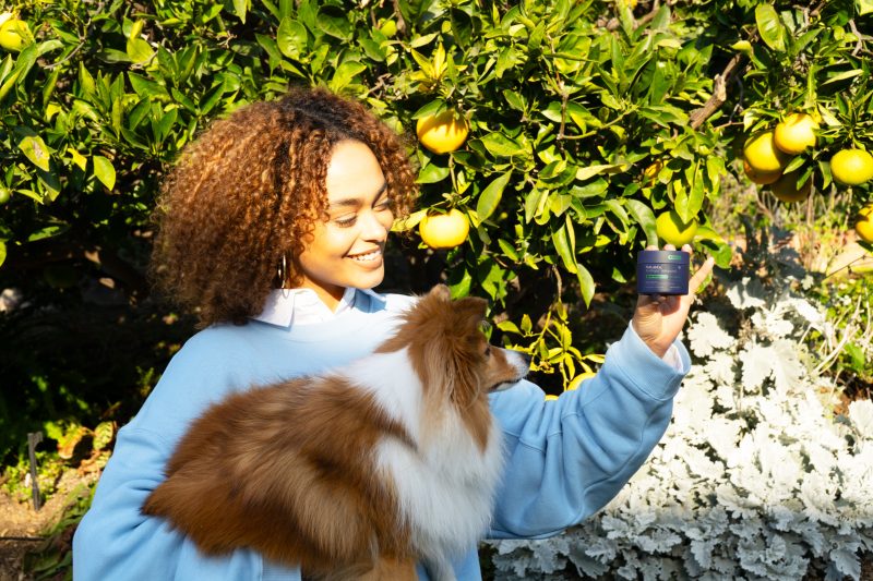 Petlab SP 1 2 800x533 1