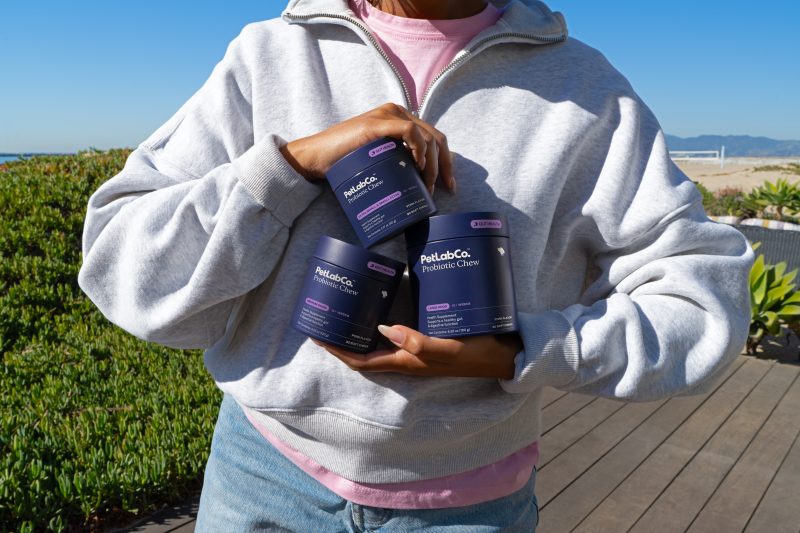 Petlap SP 2 1 800x533 1