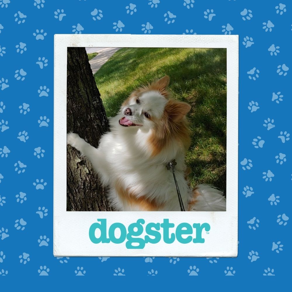 nov 6 most expressive