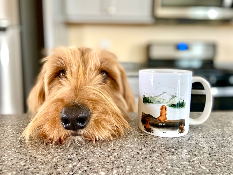 This Common Paper Towel Mishap Could Land Your Dog at the Vet 8 Unifury Mug - micah with mug on the counter