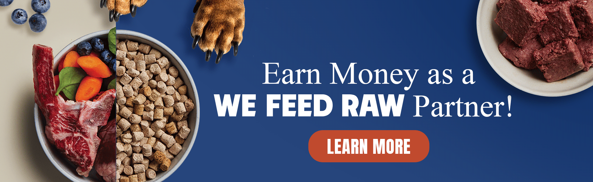 We Feed Raw AW Blog 1 Draft03