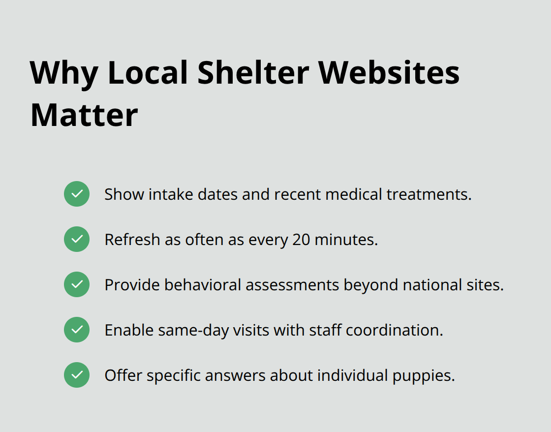 Key advantages of using local shelter websites for puppy adoption - best puppy adoption websites