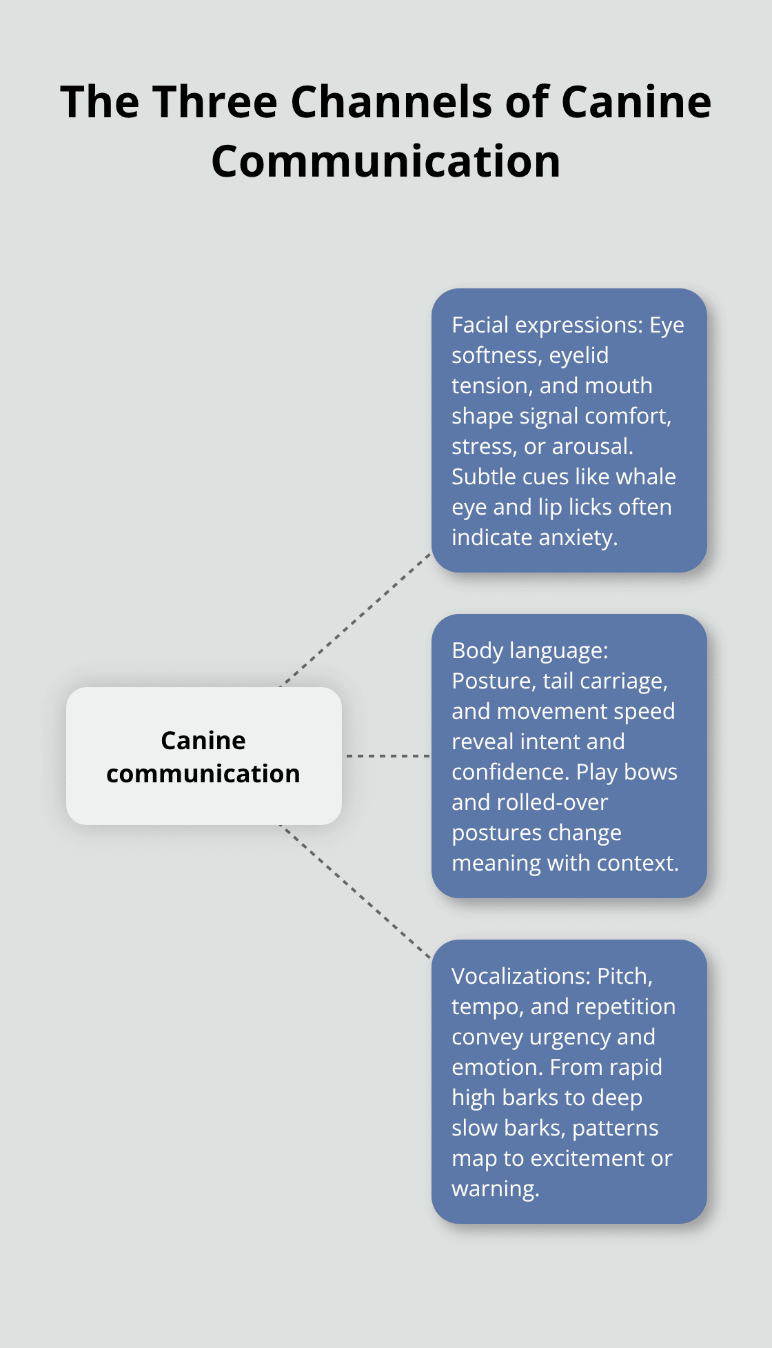 Visualization of the three primary ways dogs communicate: facial expressions, body language, and vocalizations. - dog and human relationship articles