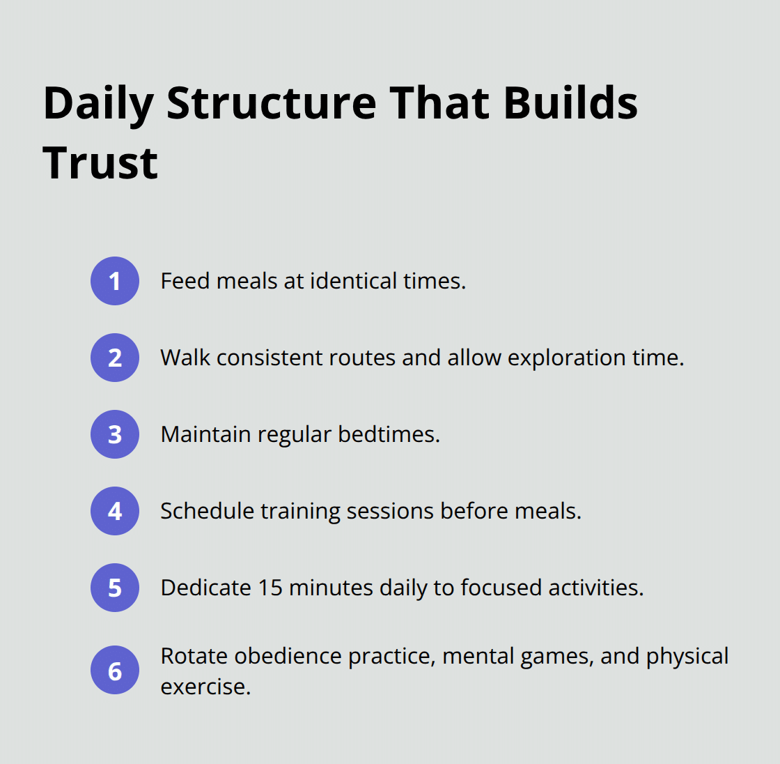 Compact checklist of daily routine elements that reduce stress and improve focus for dogs. - dog and human relationship articles