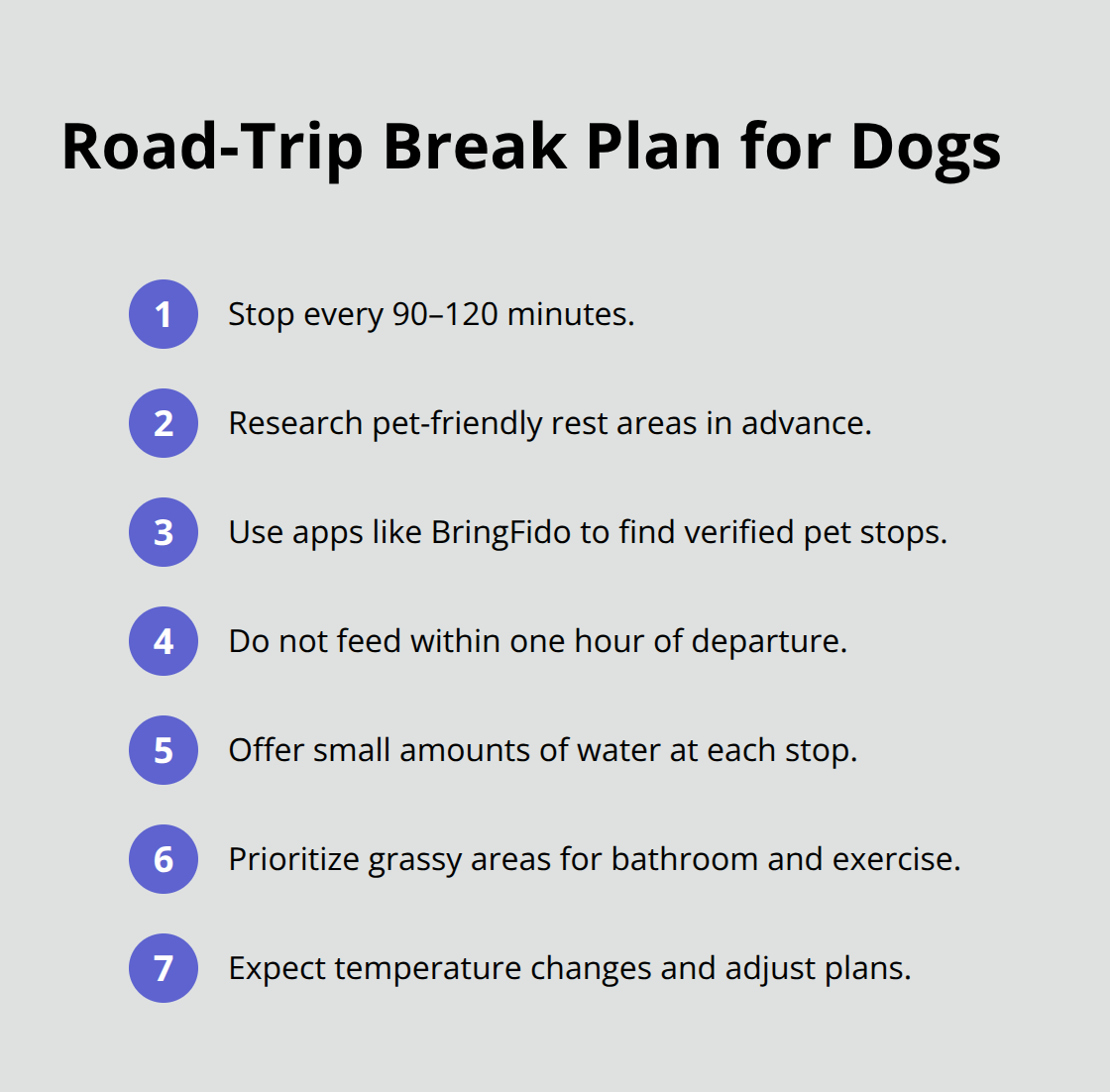 Compact step-by-step plan for scheduling safe, pet-friendly breaks during long drives. - dog car safety